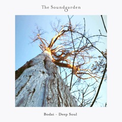 Bodai - Sensorial [The Soundgarden] [Preview]