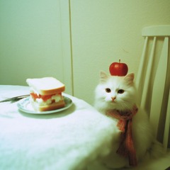 BB/UK Bass freestyle 12/17/25