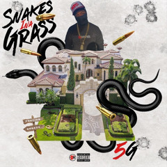 Snakes In The Grass ft. Bino 4x