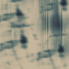 Bambi - 03 Décembre 2025