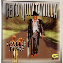 Gallo Fino