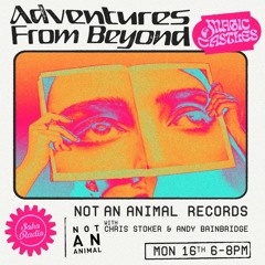 Soho Radio - Magic Castles with Not An Animal Records - Jan 23