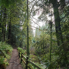 envelop - 04/05/2025