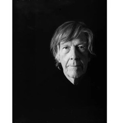 A City Rises from the Sea