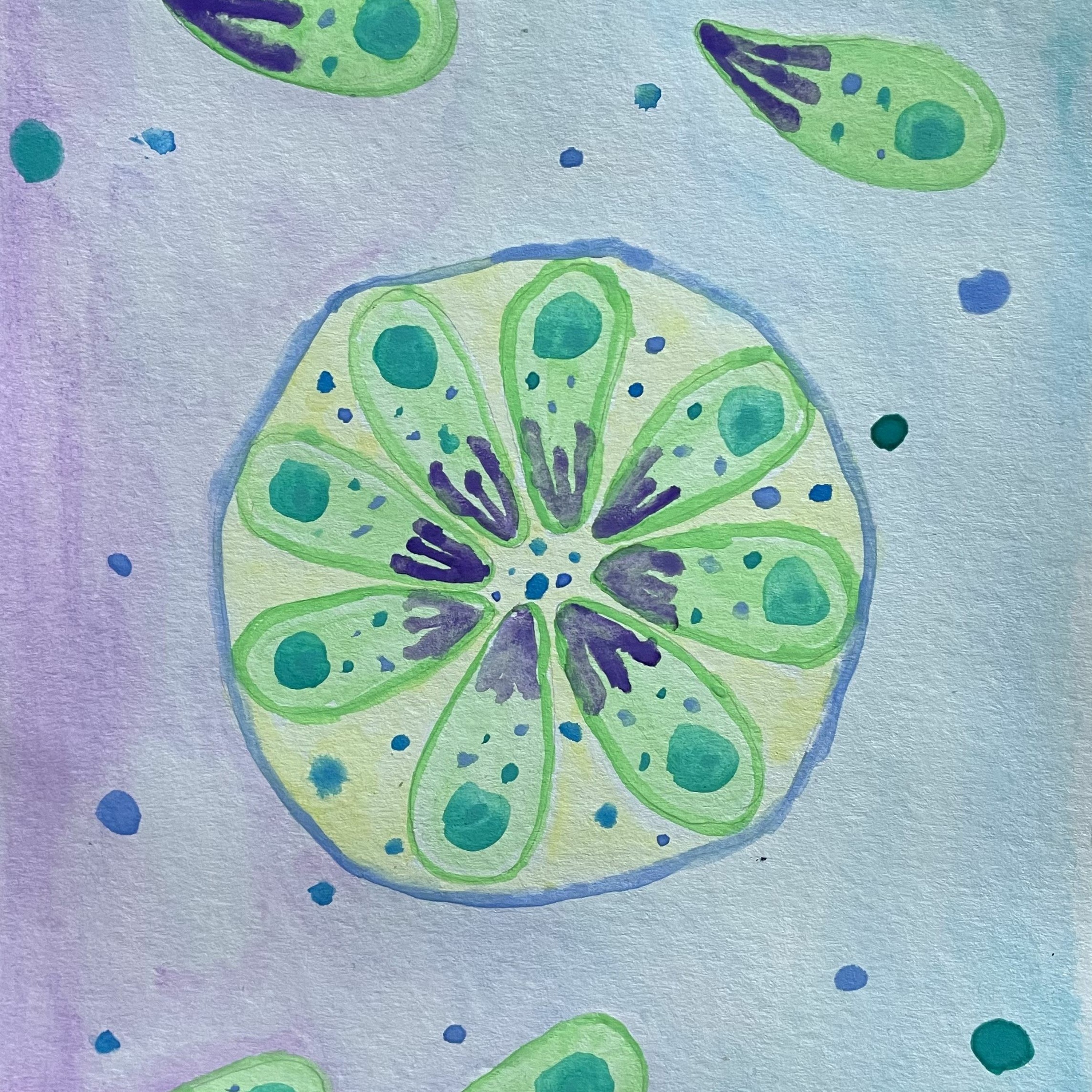 RadioBio