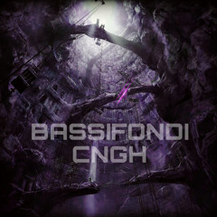 BASSIFONDI-CNGH