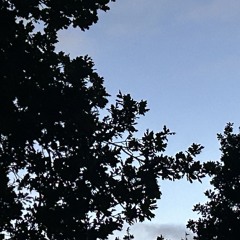 we could fall in love