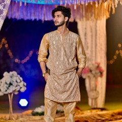 Tu mery samny me tery samny