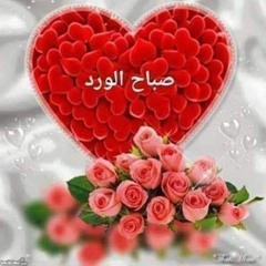 نجم السلمان - الاسمرانيه NAJEM ALSALMAN - ALASMARANYA (COVER).mp3
