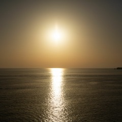 Music For The New Biology (Walkers of The New Solar Transit)