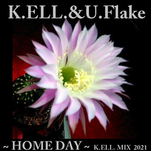 Stream K Ell Uli Flake Home Day K Ell Rmx 1 By K Ell Listen Online For Free On Soundcloud