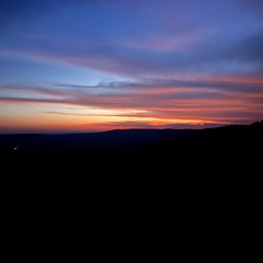 Glad to Be Going It With You