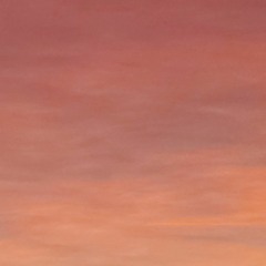 Music Vol. 2  < Electric >