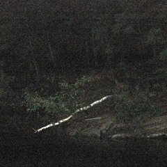 Of Thorns And Black Petals