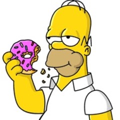 Homer Simpson Not No Simpin