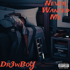 Never Wanted Me