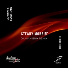 Steady Mobbin (Damian Brix Remix) [Dirty]