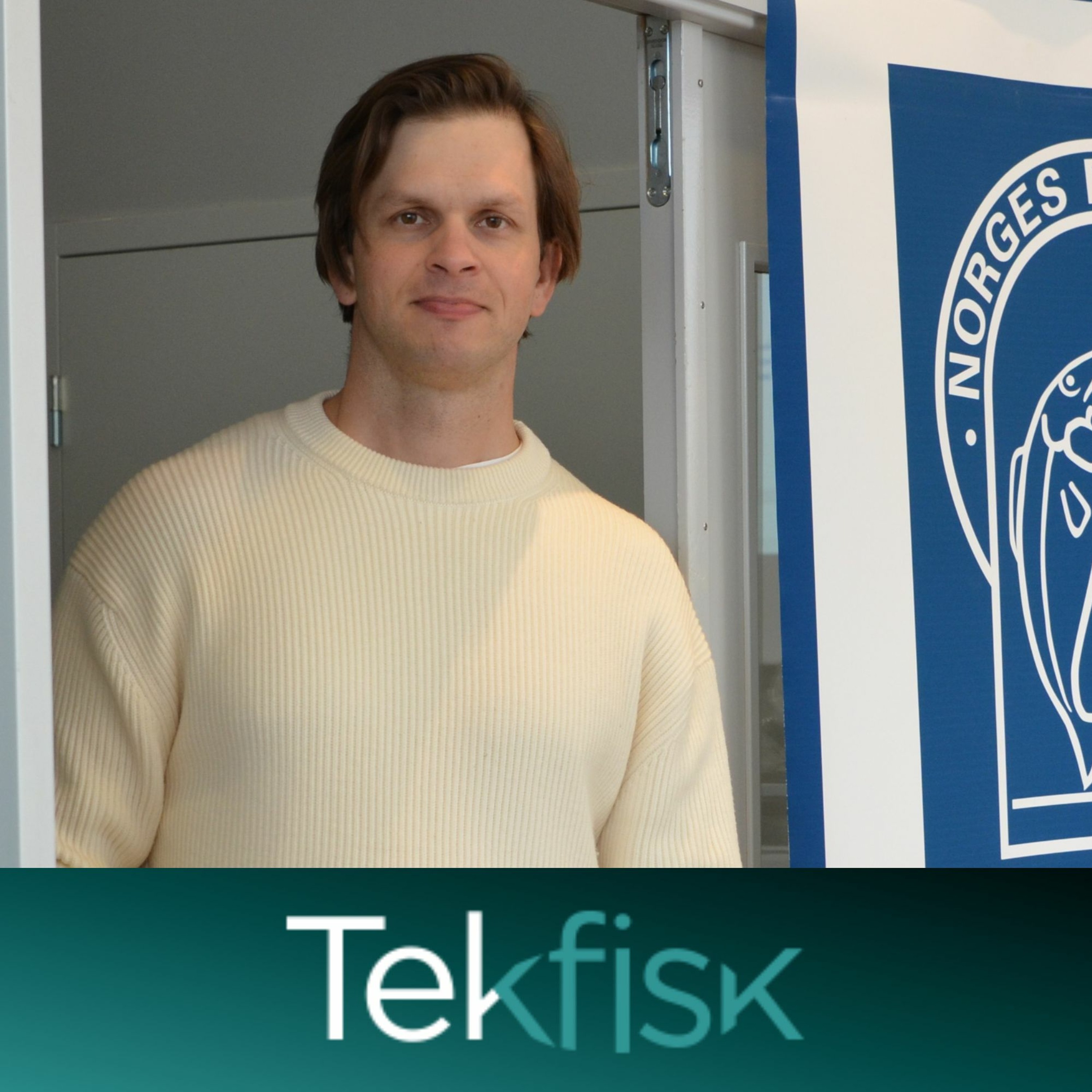 Tekfisk