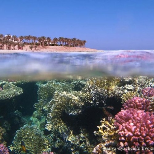 ਬੋਕਰਬੋਕਰਤੋਵ background music FREE DOWNLOAD