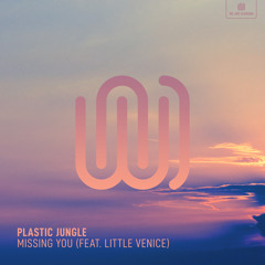 Missing You (feat. Little Venice)