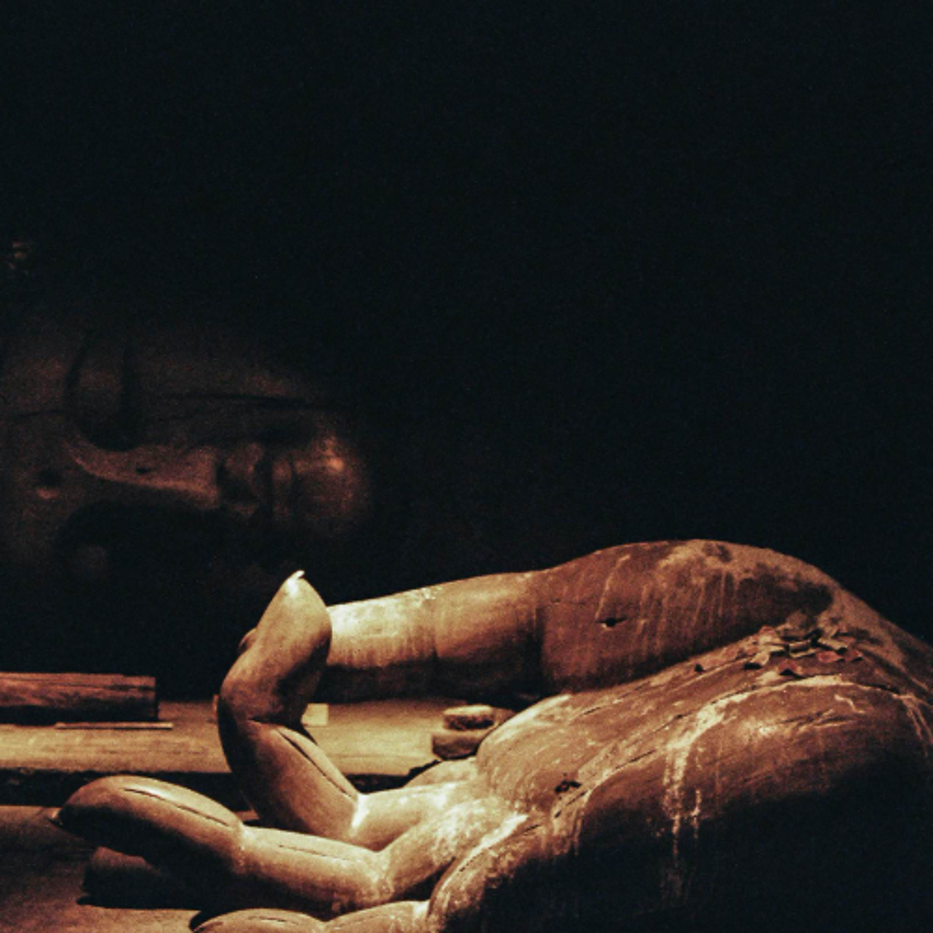 Ep. 522 Riflessioni sulle coscienze sensoriali