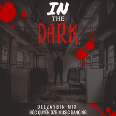 In The Dark x DEEZAYBIN x Mix
