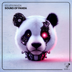 Silver Panda - Sound Of Panda (Extended Mix)