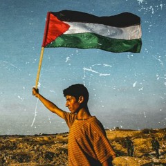 Salvem a Palestina (Save Palestine)