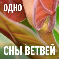 Одно