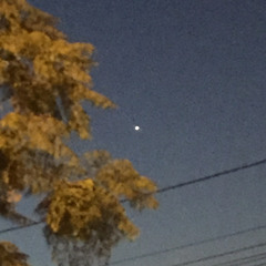 Nvscvr 🏁 - Glowin’ up♾