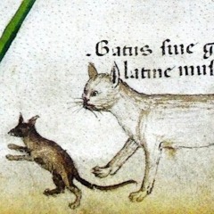 OWEYNAGAT