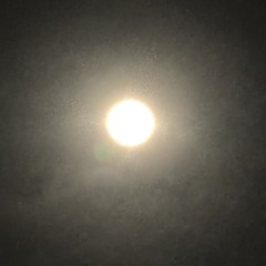 365