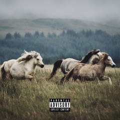 HORSES DONT STOP (prod. sapjer)