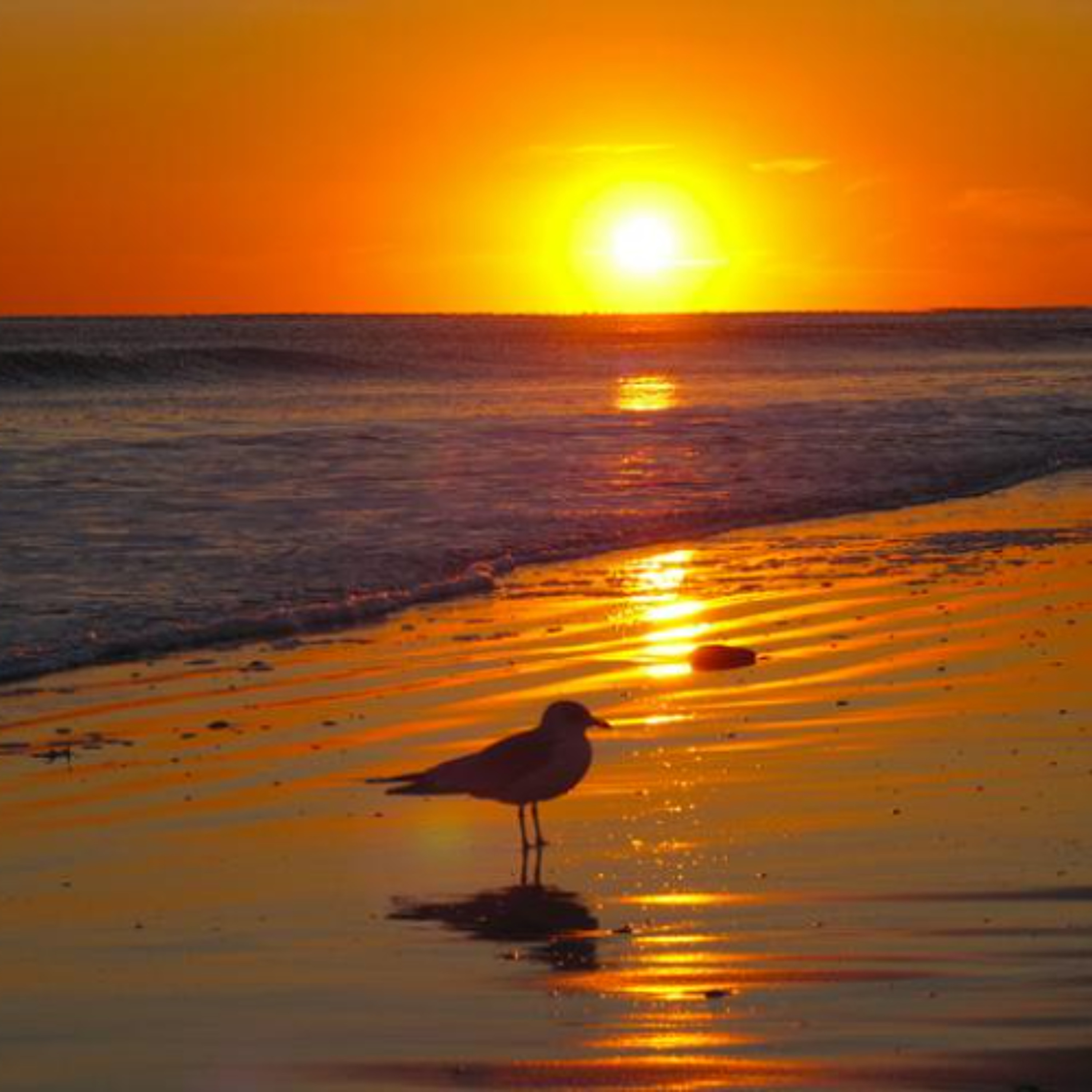 When You're READY to Understand Life - Alan Watts Talks