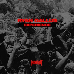 Ryan Gallus - Experience