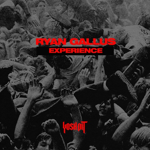 Ryan Gallus - Experience