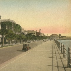 MZT1991