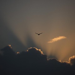Air