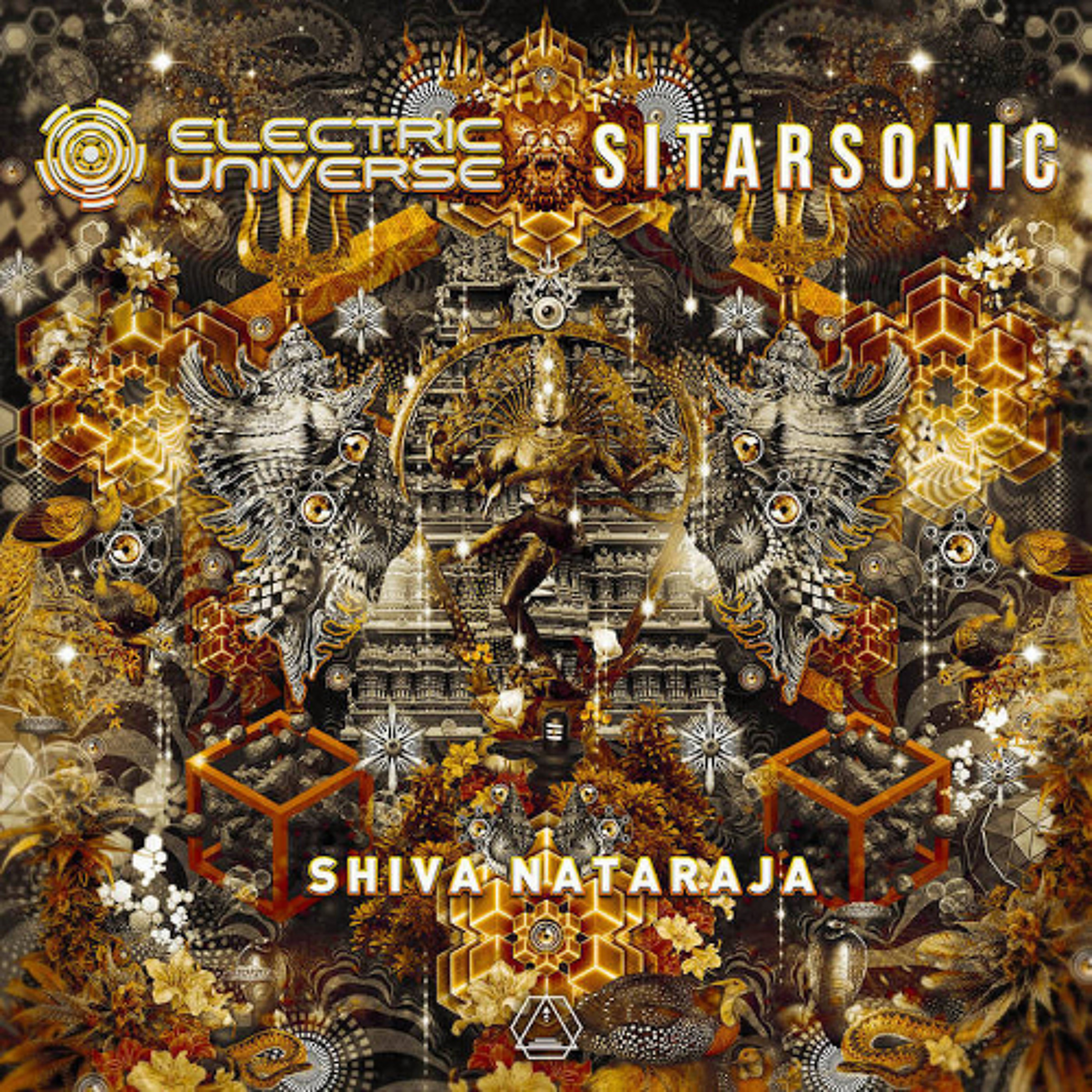 SHIVA NATARAJA episode artwork