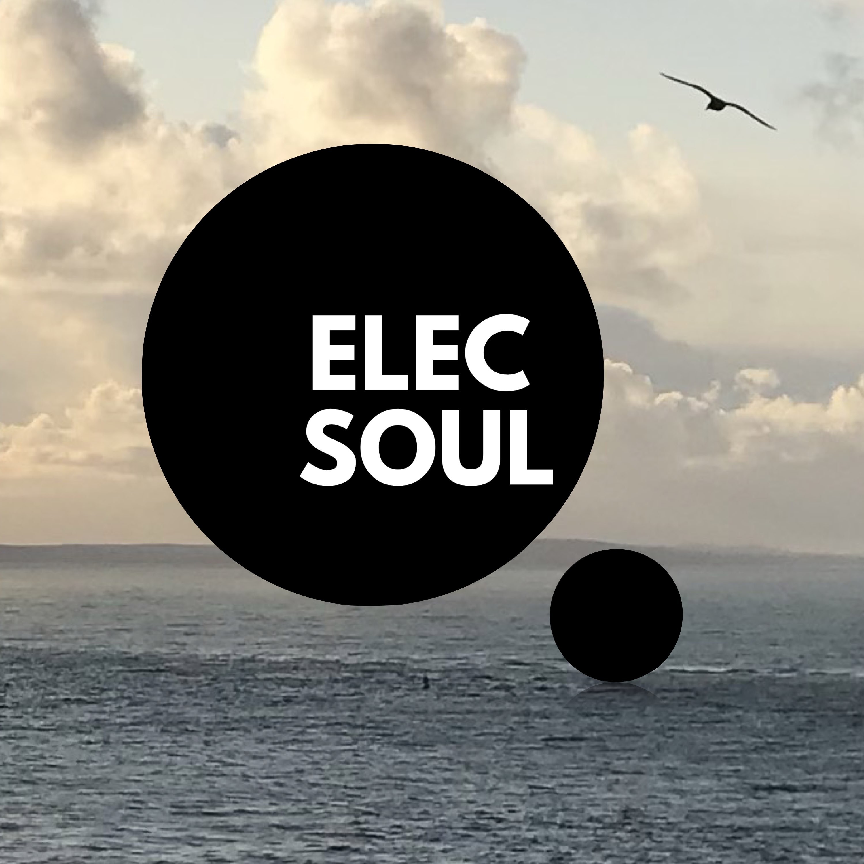 ElecSoul