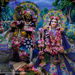 Kartik · Evening Shift Vrindavan · 1.18.23