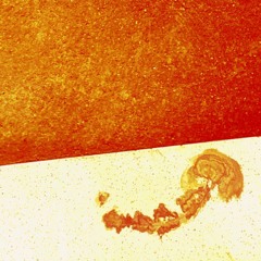 The Fact - Swallow.