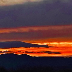 myrosesredbutmydrankpurple.mp3