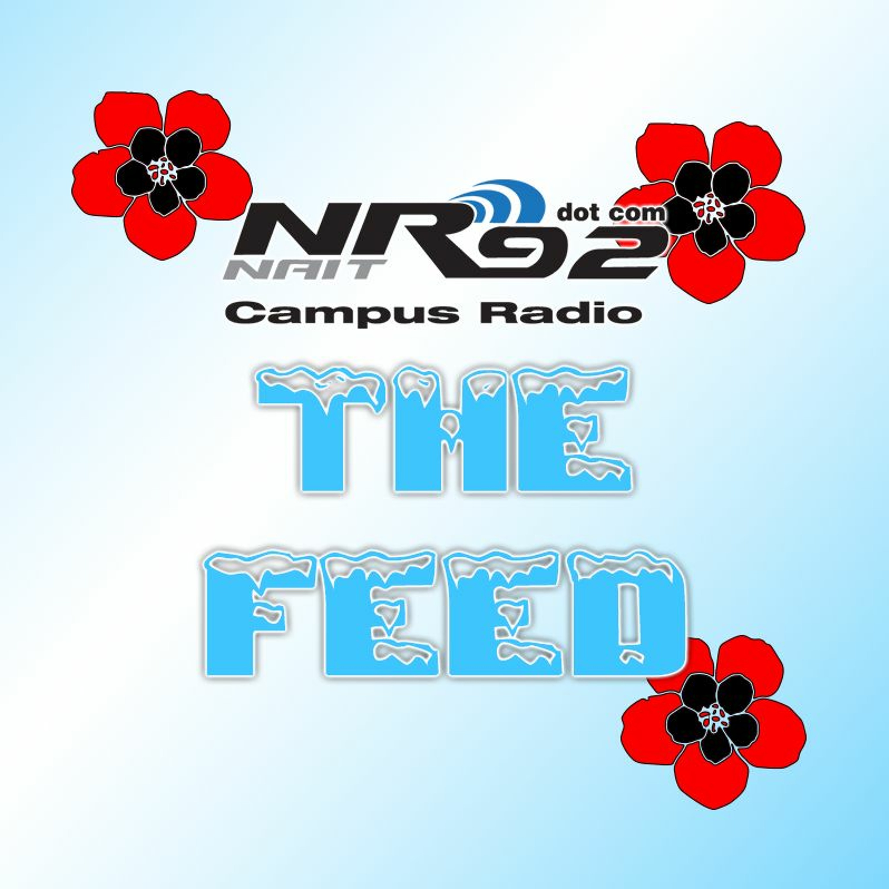 The Feed November 4th