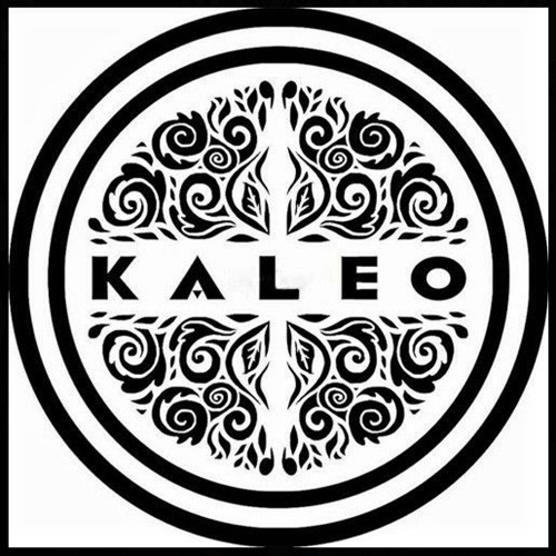 Stream BMN Listen to KALEO Unreleased playlist online for free on
