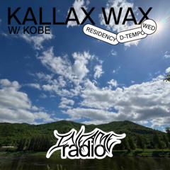 Kallax Wax 013