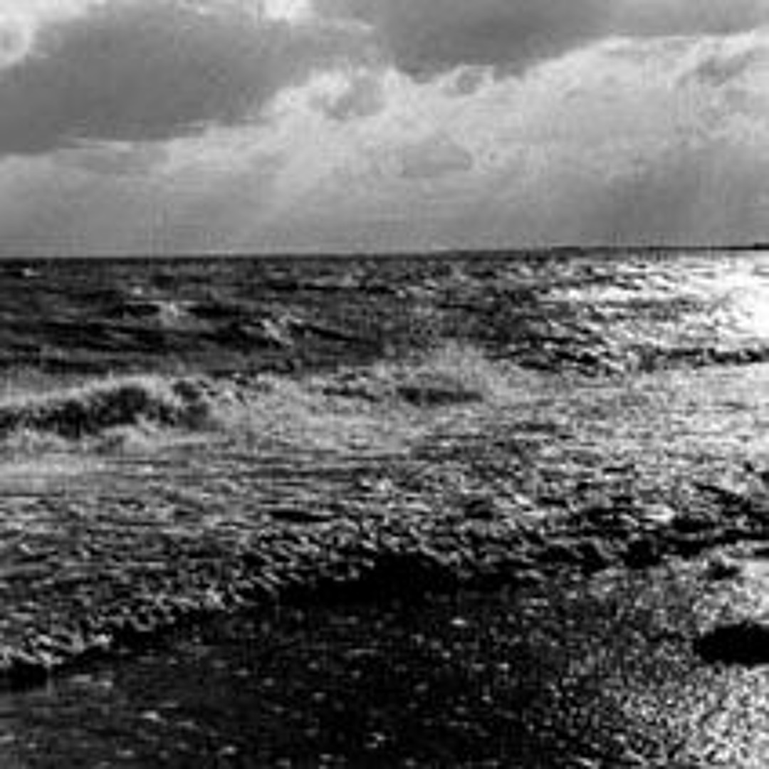 North sea for viola