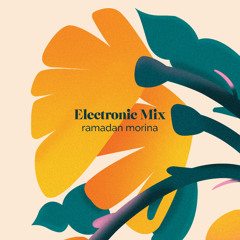 Electornic Mix #2