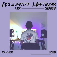 AM-029 - Ravver