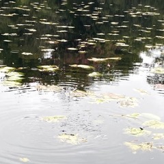 to you they're bound